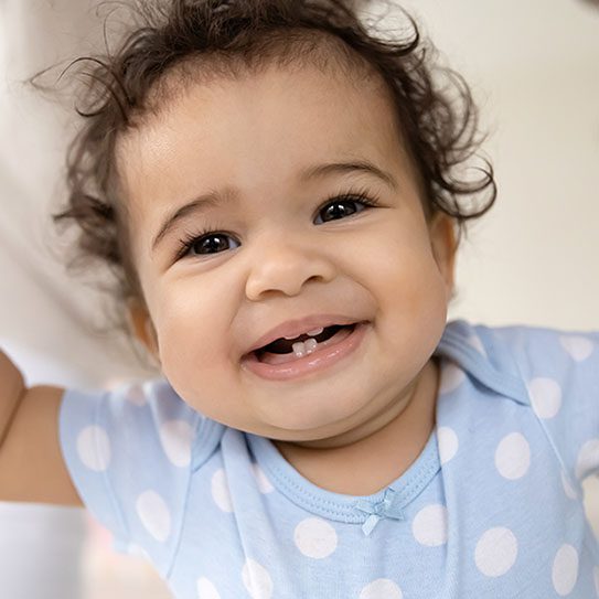- Ascend Dental